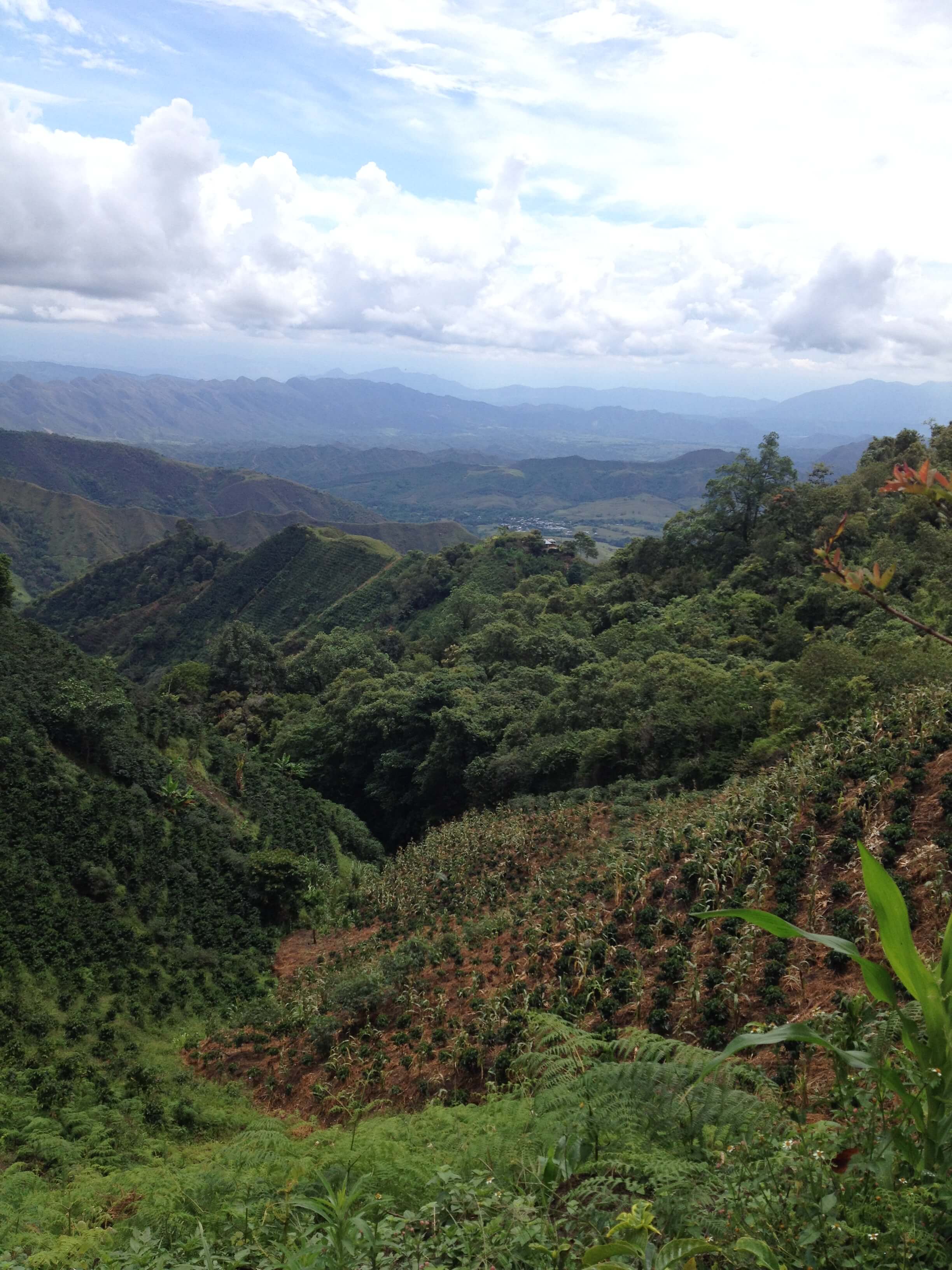 Landschaft um die Fairmined zertifizierte Mine Iquira in Kolumbien