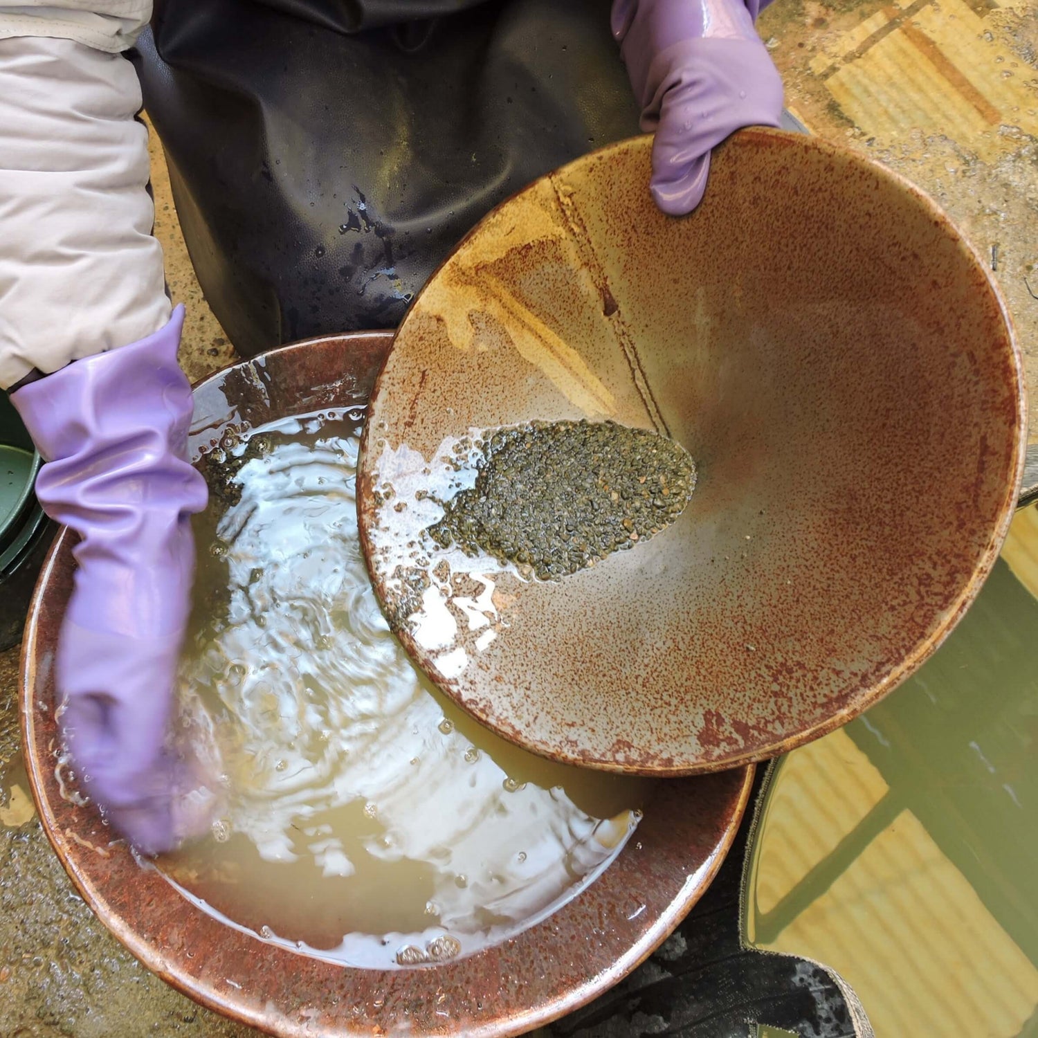 Gold waschen mit Sicherheitskleidung und Handschuhen in der Fairmined-zertifizierten Mine "Cecomip" in Peru